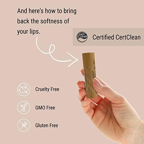 Chapstick Lip Balm Lip Moisturizer For Dry & Chapped Lips 100% Organic Lip Balm For Soft And Shiny Lips Cute And Portable Lip Care Balm for Kids and Women's With Bamboo Packaging (Lime)