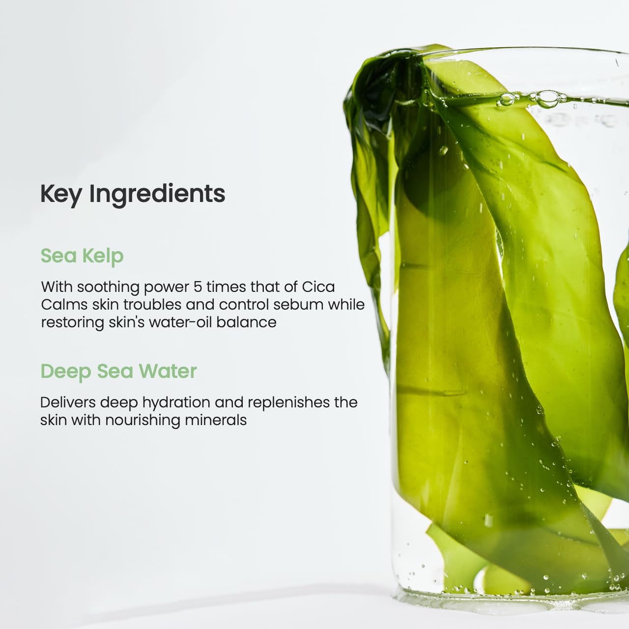 BIODANCE Refreshing Sea kelp Real Deep Mask, Overnight Hydrogel Mask, Calming, Oil & Sebum Control, Blemish Care, Korean Skincare | 1.19oz(34g) x 4ea