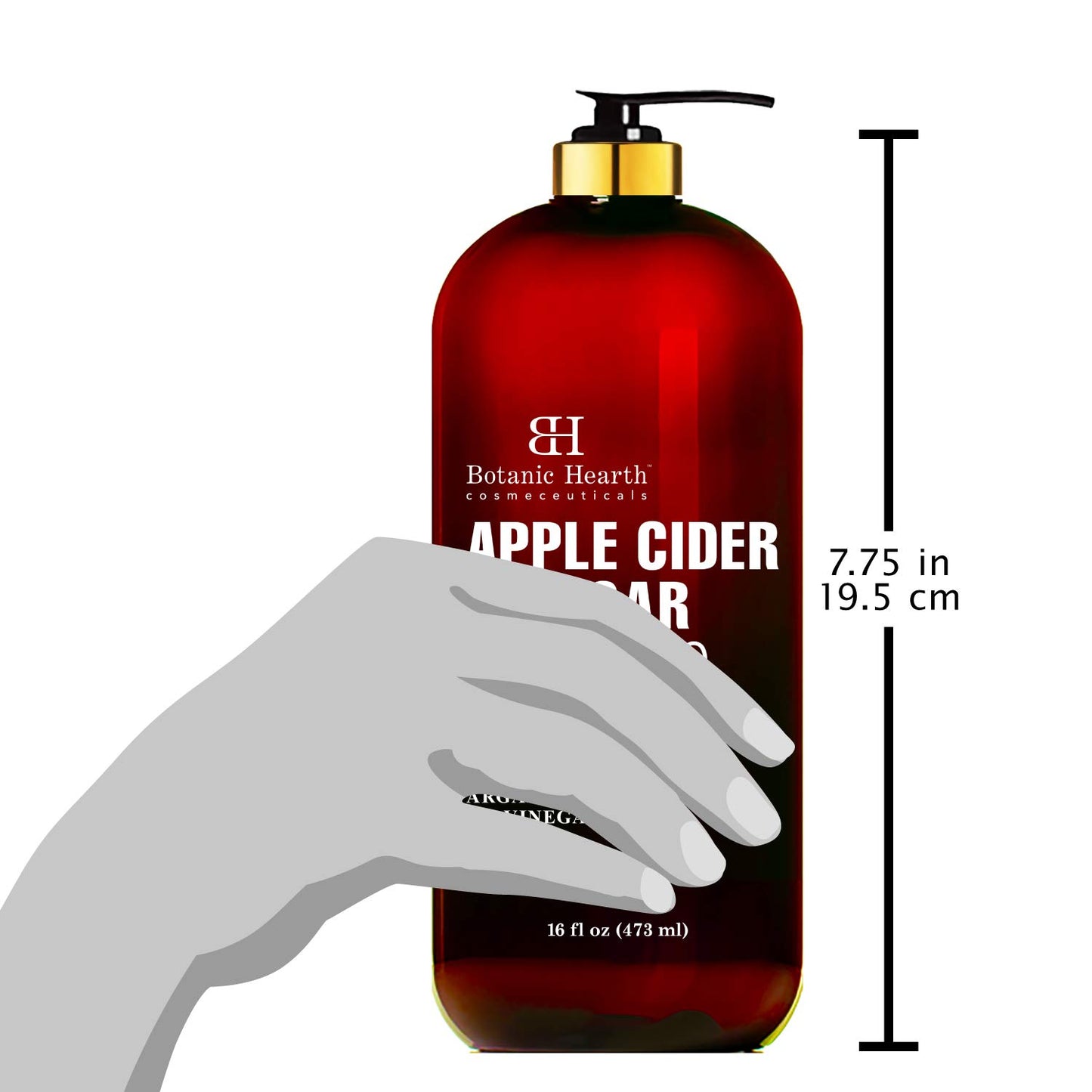 Botanic Hearth Apple Cider Vinegar Shampoo | Clarifying And Nourishing, Reduces Itchy Scalp, Dandruff & Frizz | Sulfate Free, For All Hair Types, Men And Women | 16 Fl Oz