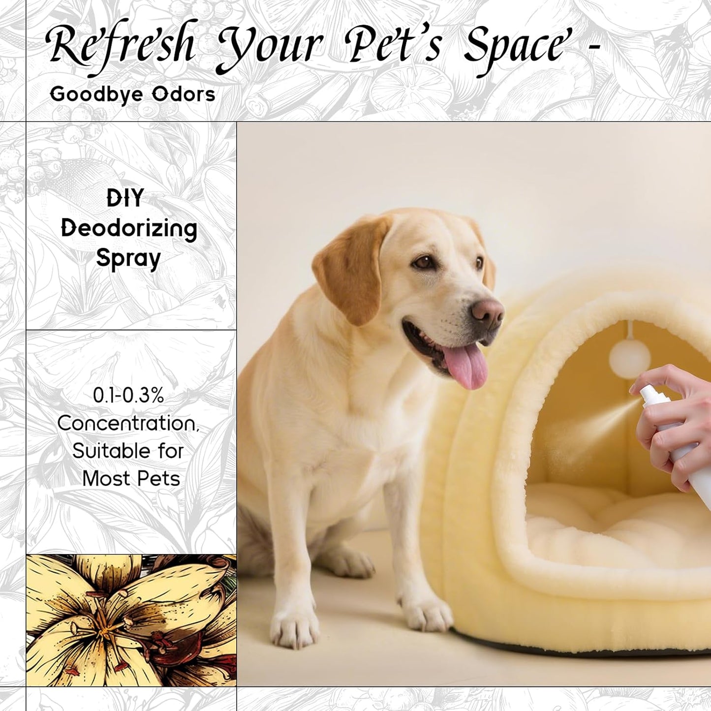 HIQILI Vanilla Fragrance Oil for Body Spray, Diffuser Use, Essential Oil for Candle, Soap, and Women Perfume Making - 1 Fl Oz