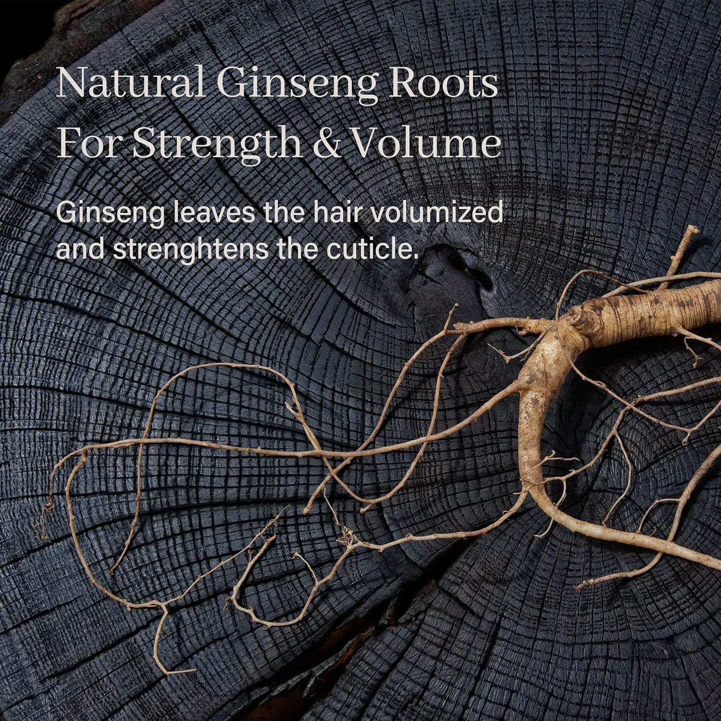 Night Shadow Biotin Shampoo Bar for Regrowth & Hair loss, Darkening, Gray Hair | Strengthening & Volumizing | Normal to Oily Hair | Vegan, Natural, pH balanced, Sulfate free